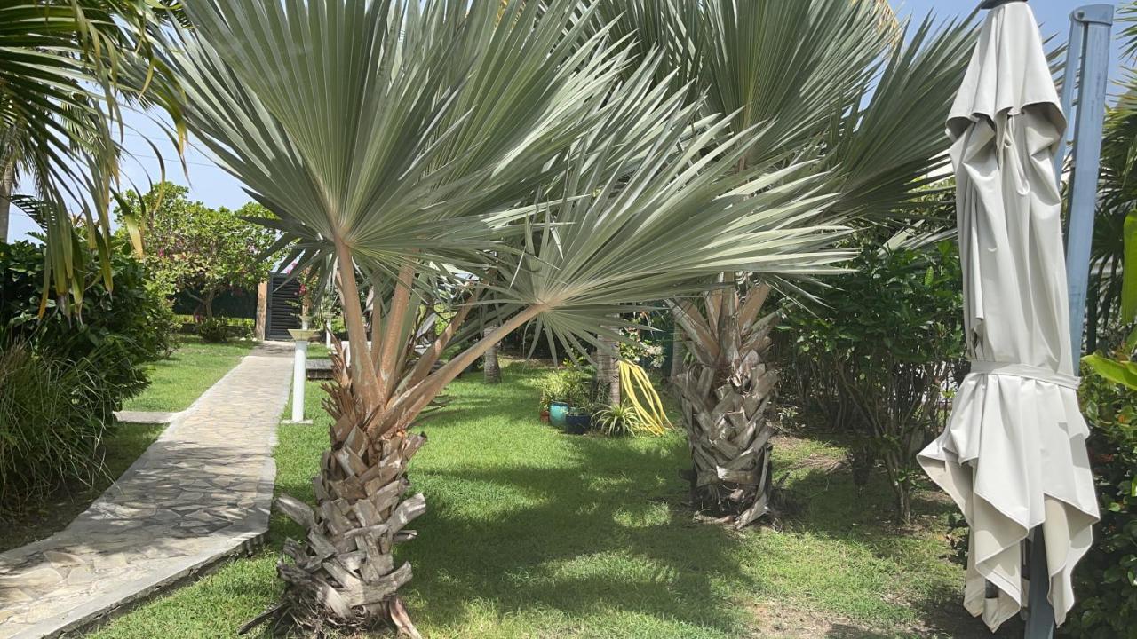 Cote Plage Saint-Francois  Kültér fotó