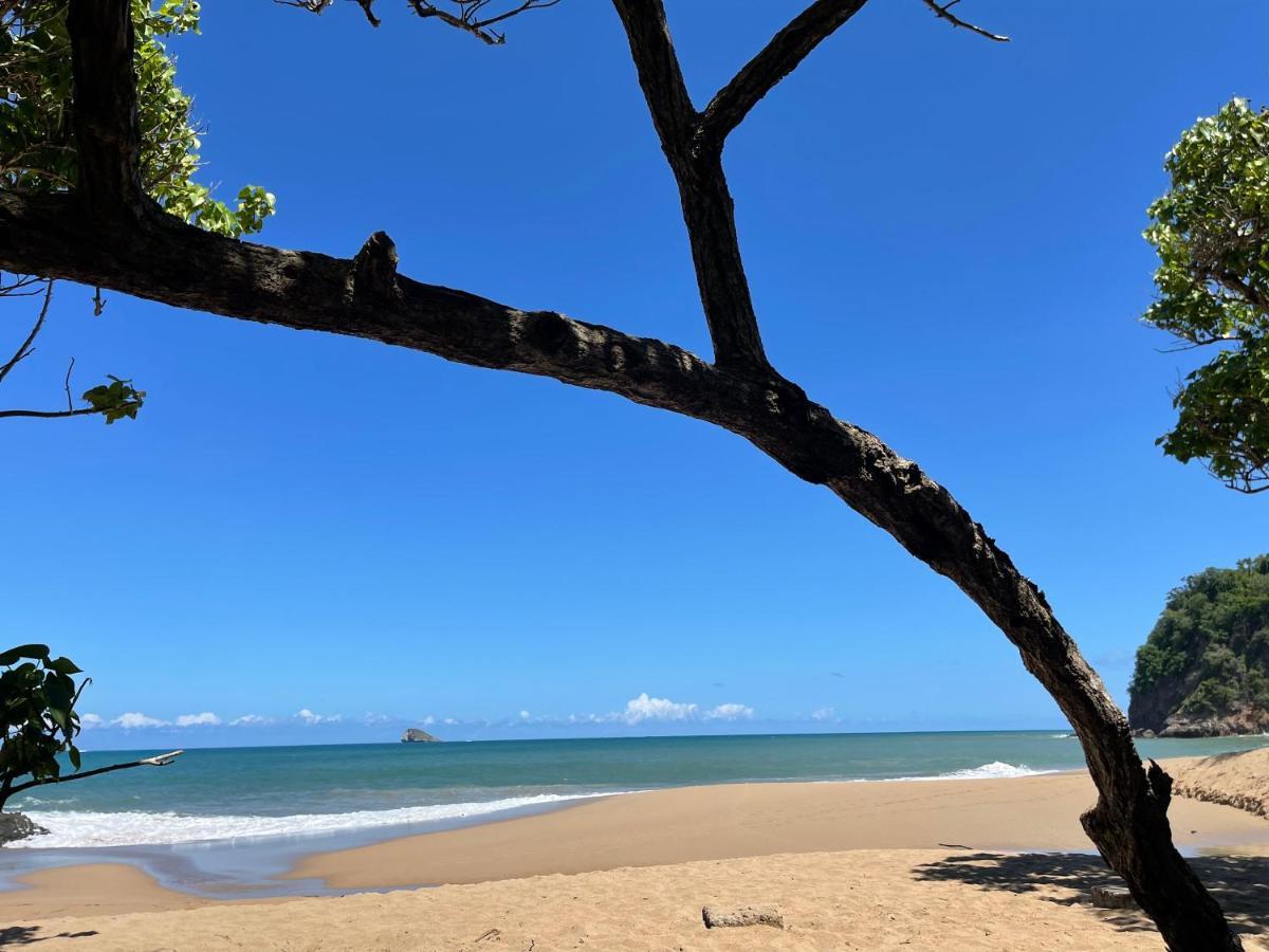 Cote Plage Saint-Francois  Kültér fotó